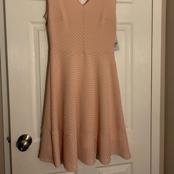 Cotton Candy - Picture 2 of 5